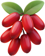 Berberină